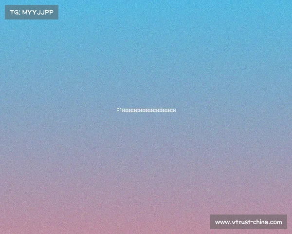 F1一级方程式赛车赛事全面介绍历史规则与技术详解