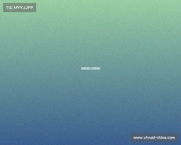 国际赛事总监-赛事执行总监